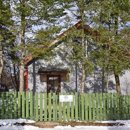 Medaus Apartamentai トラカイ エクステリア 写真